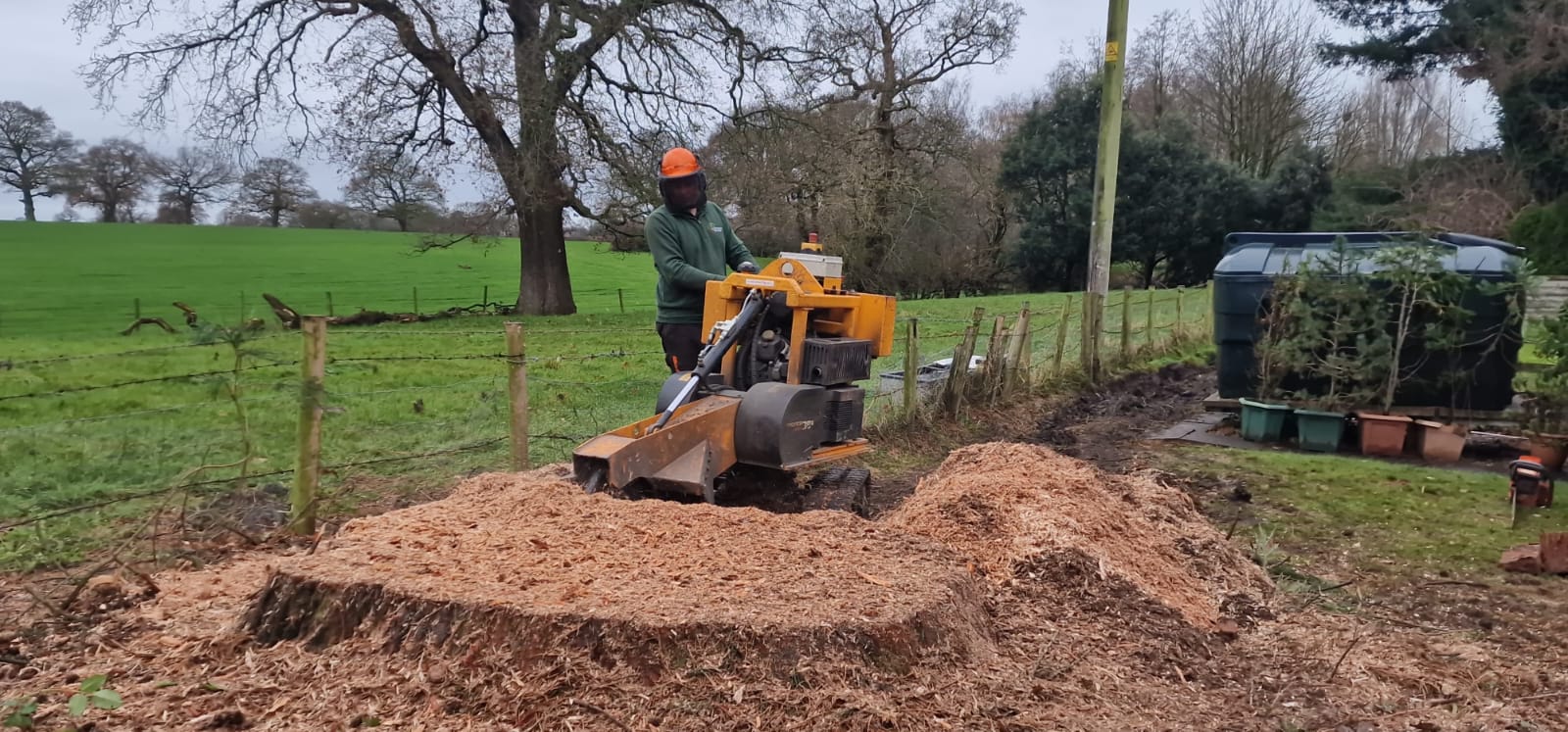 Tree stump removal service in Merton with professional stump grinder